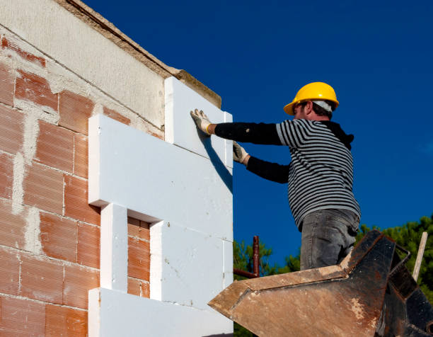 Best Geographic-Specific Insulation Services in Roanoke, VA