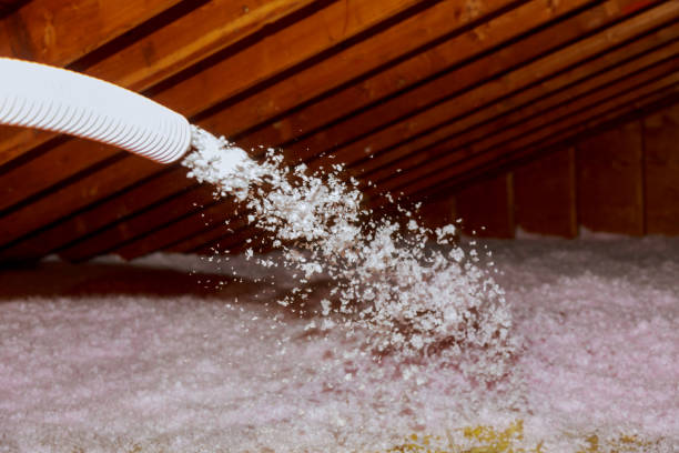 Best Insulation for Specific Applications in Roanoke, VA