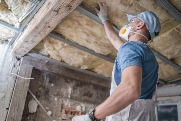 Best Eco-Friendly Insulation in Roanoke, VA