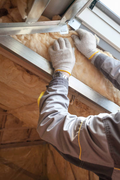 Best Insulation for Specific Applications in Roanoke, VA