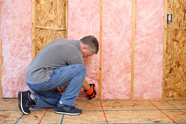 Best DIY Insulation Kits and Guidance in Roanoke, VA