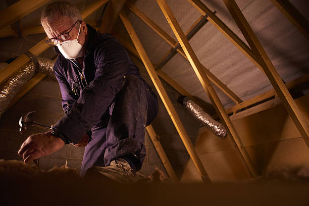 Best Geographic-Specific Insulation Services in Roanoke, VA